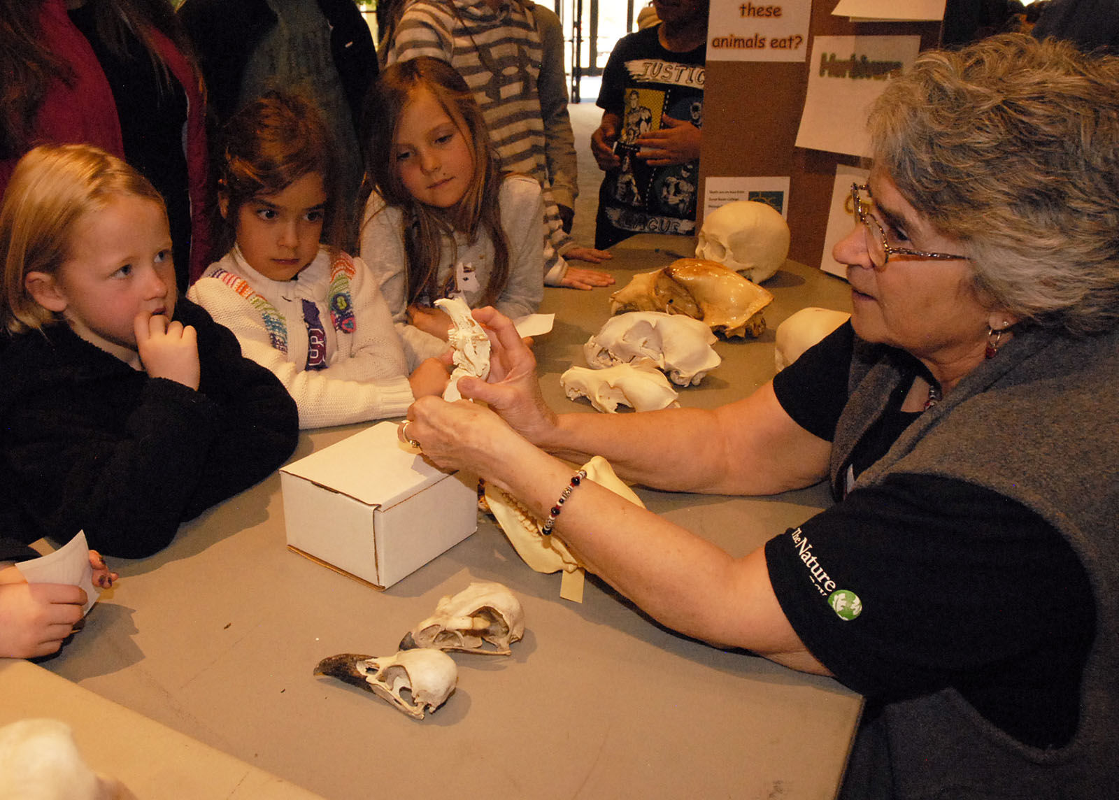 Annual County Science Fair